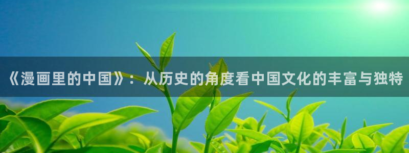 奇漫屋免费版下载安装：《漫画里的中国》：从历史的角度看中国文化的丰富与独特